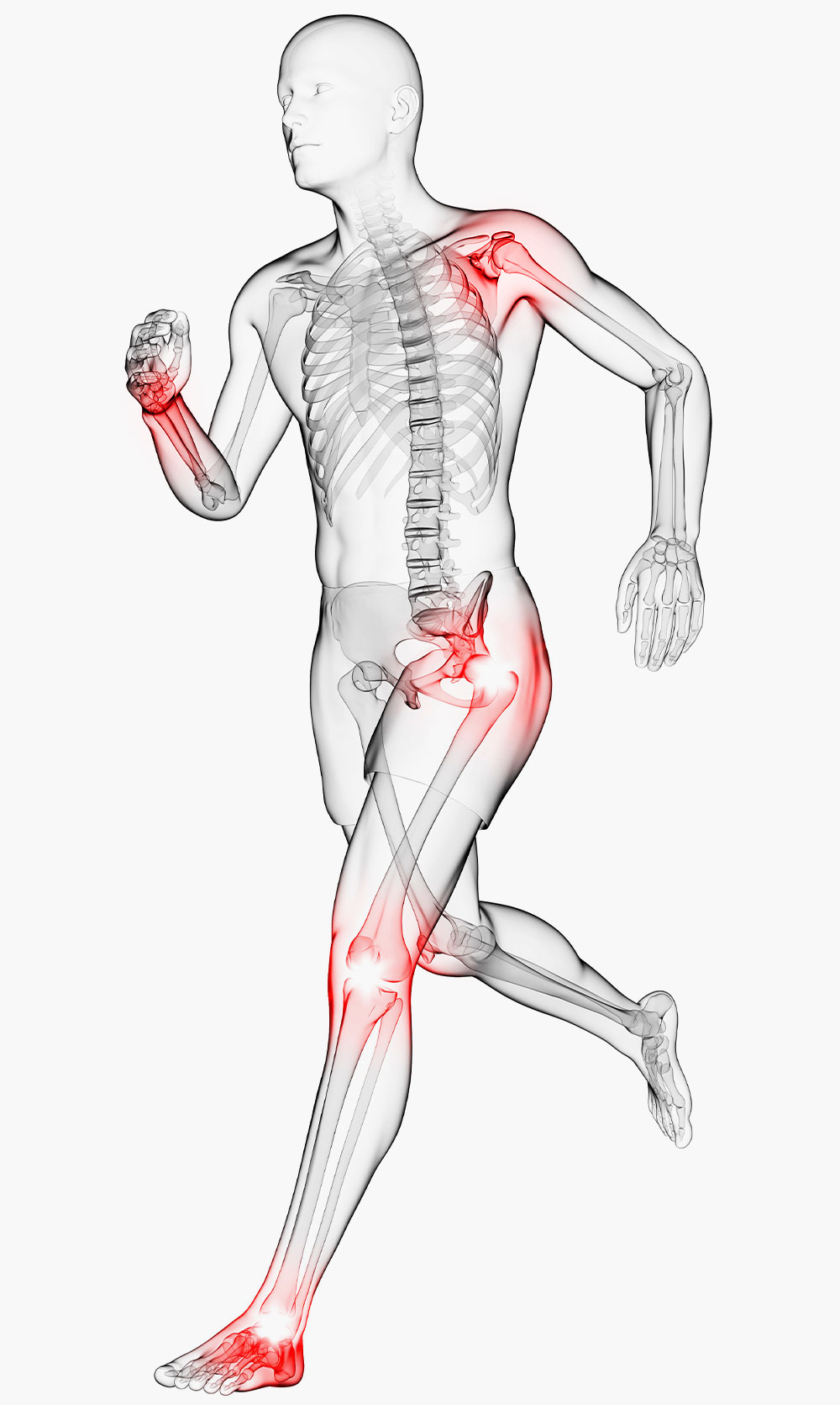어깨,손,고관절,무릎,발